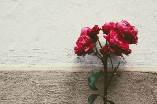 flower rose deco