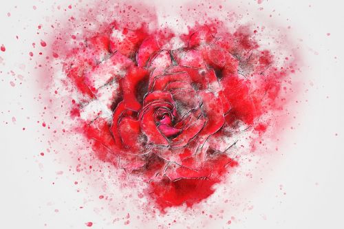 flower roses heart