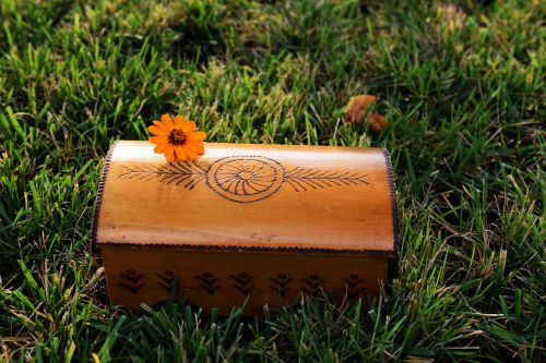 flower grass wooden box