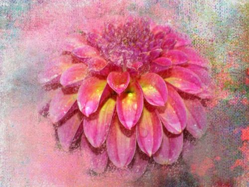 flower art painting