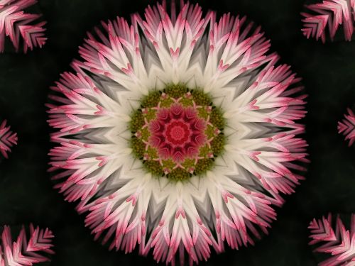 flower kelidoscope background
