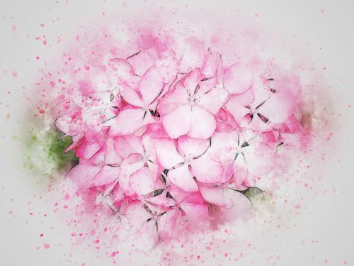 flower pink art