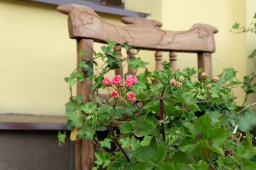 flower chair scenery