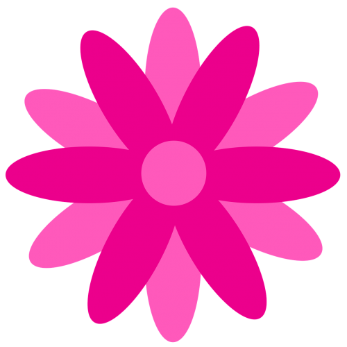 flower rosa margaret