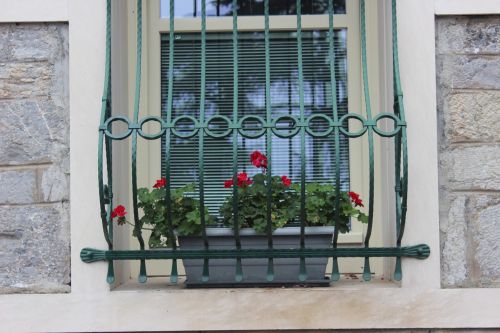 flower red window