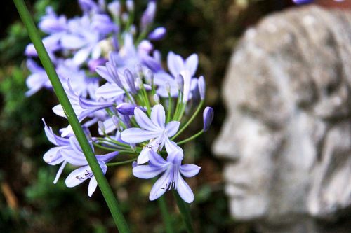 flower statue garden