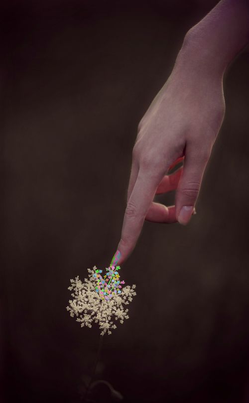 flower hand coloring