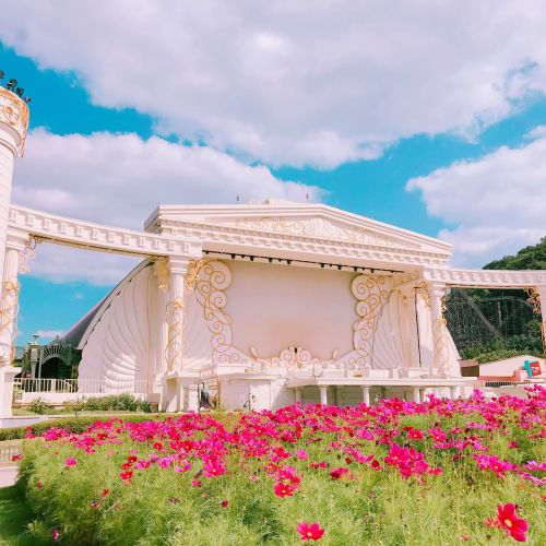 flower sky cloud