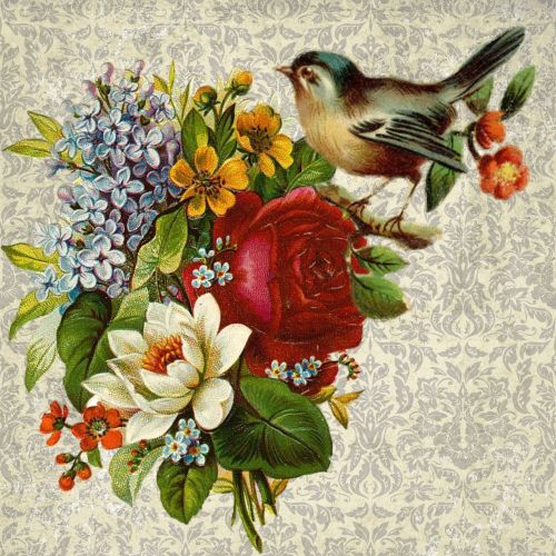 flower bird collage