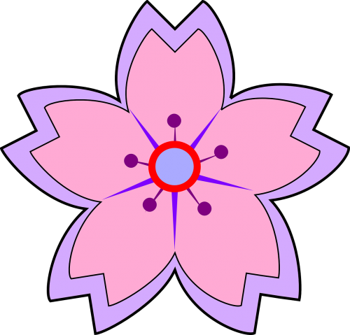 flower violet spring