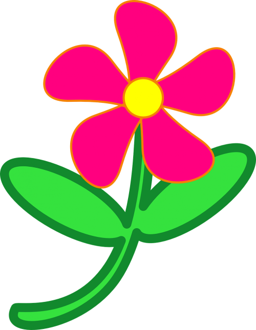 flower pink daisy