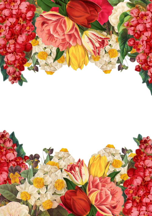 flower frame background