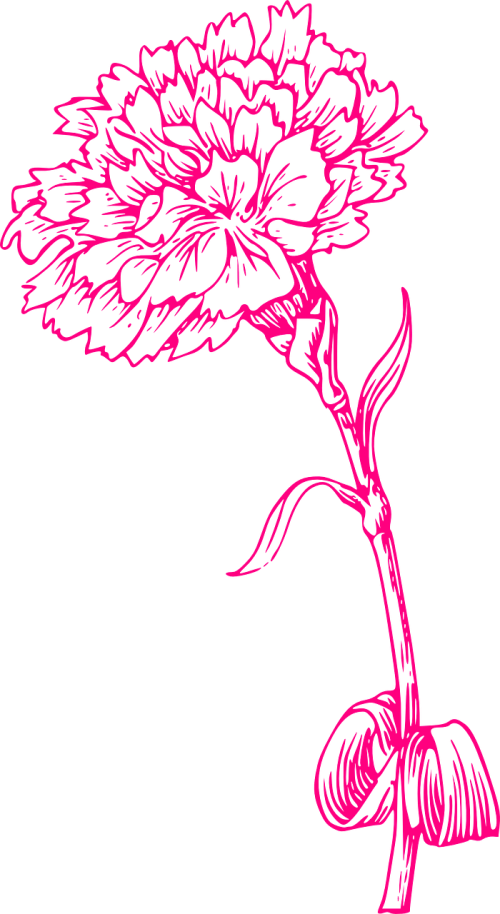 flower print pink