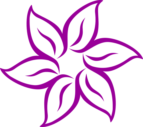 flower purple drawing