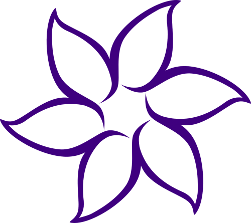 flower purple drawing