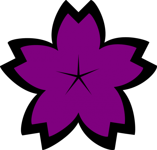 flower blossom purple