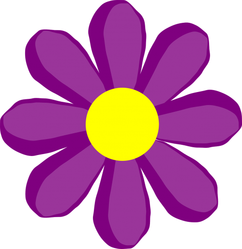 flower purple daisy