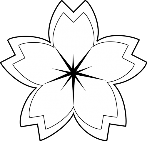 flower petals star