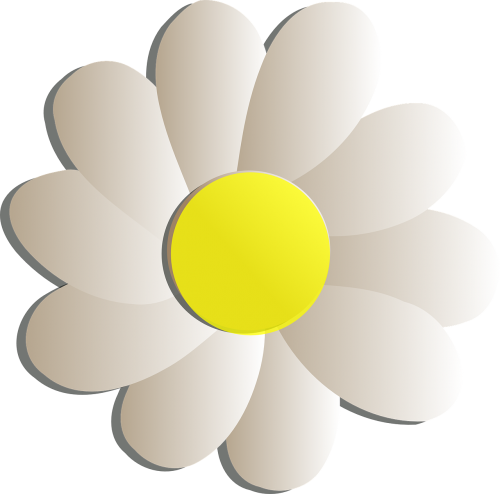 flower daisy blossom