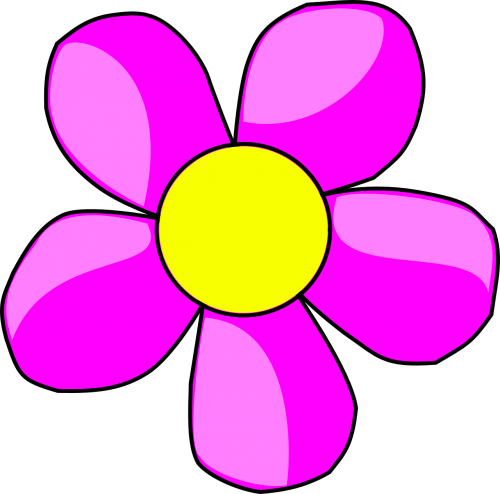 flower blossom purple