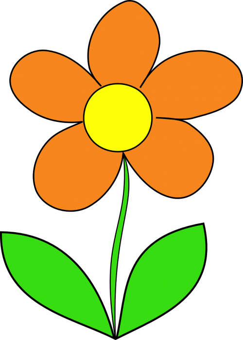 flower orange leaf