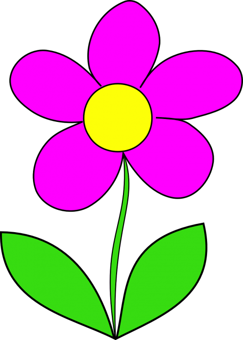 flower pink leaf