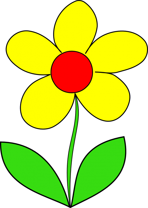 flower yellow leaf