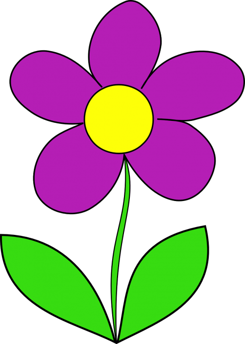 flower purple leaf