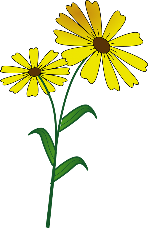 flower daisy vegan
