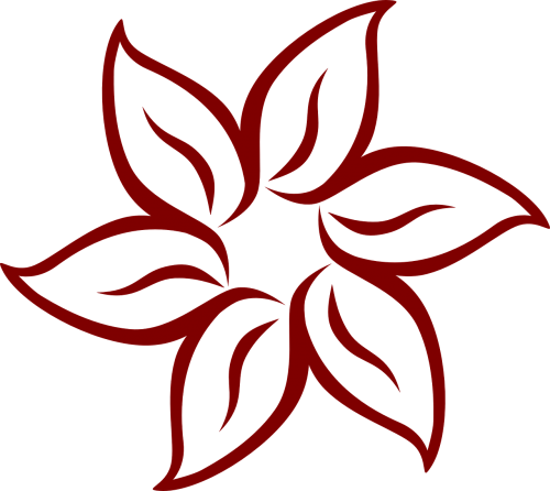 flower symmetry leaves