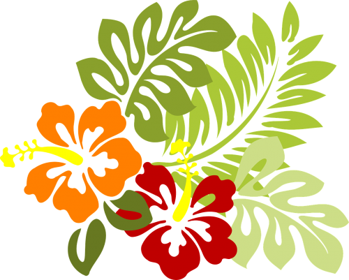 flower tropical leaves