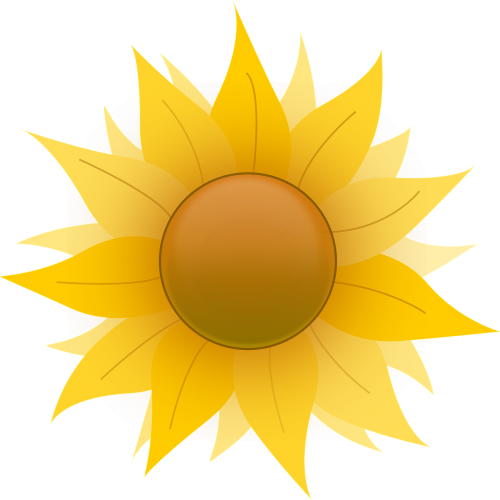 flower yellow symmetry