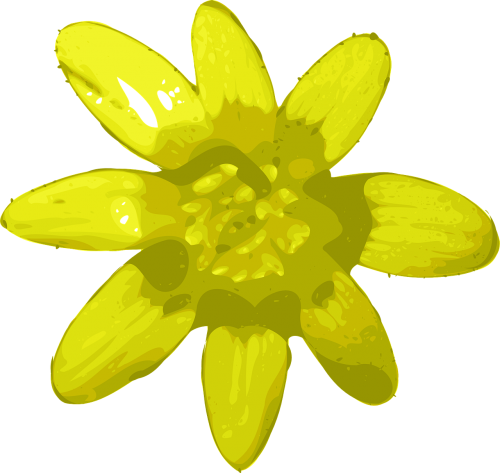 flower yellow bright