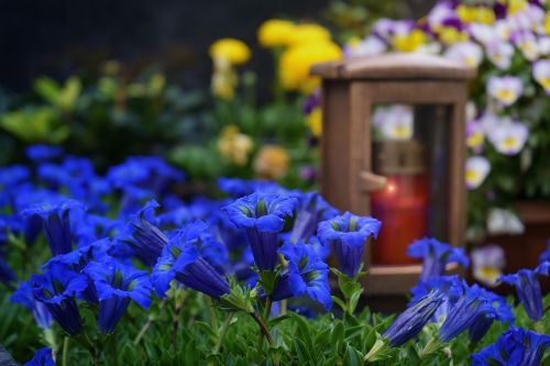 flower cemetery mourning