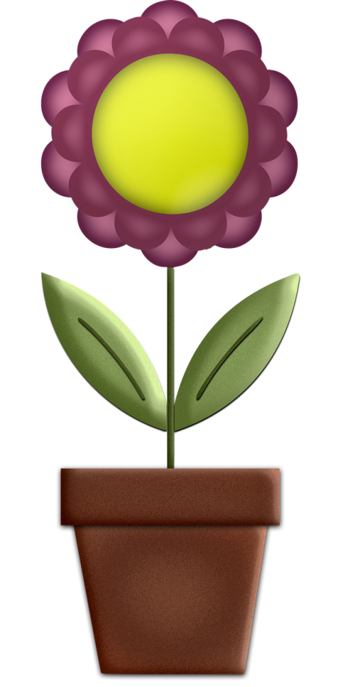 flower digital art design