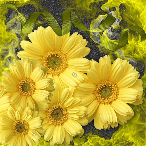 flower flowers yellow flowers