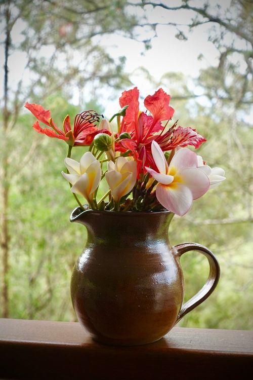 flower pot nature