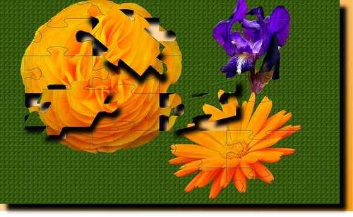 flower  puzzle  color