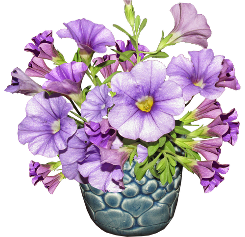 flower  vase  arrangement