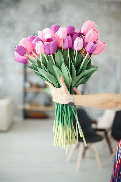 flower  nature  tulips