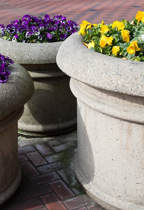 flower  stone  flora