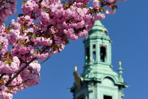 flower  tree  at the court of