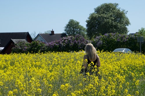 flower  field  agriculture