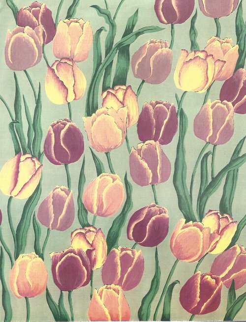 flower  flora  tulip