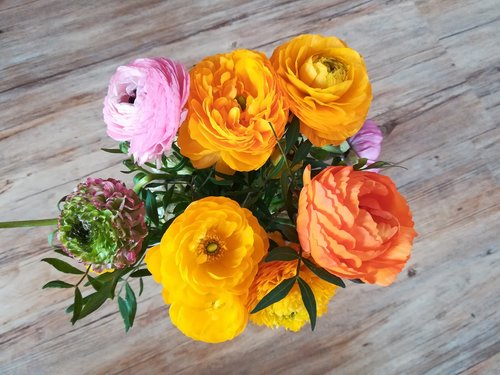 flower  leaf  bouquet