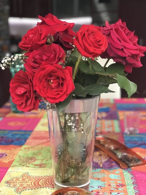 flower  rosa  vase