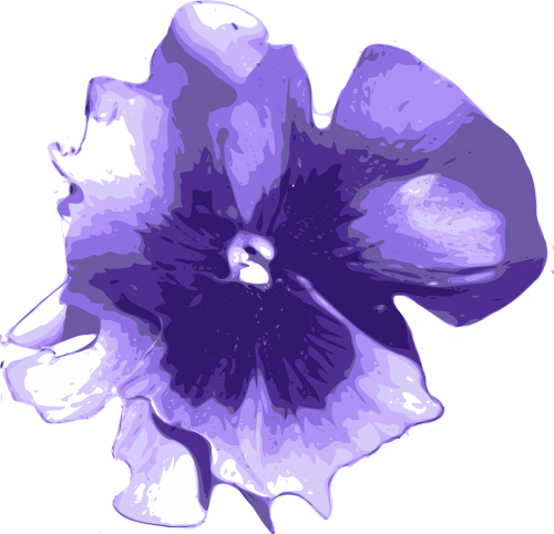 flower purple blue