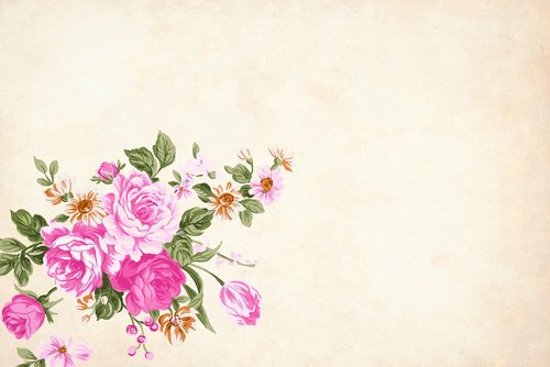 flower  floral  background