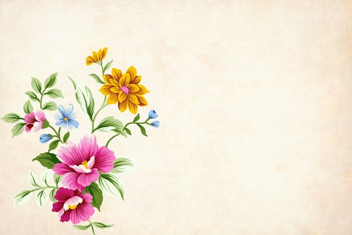 flower  floral  background