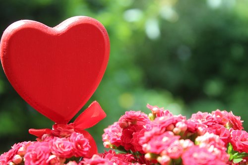 flower  heart  love